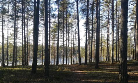 knäck kärlekskoden|Knäck kärlekskoden – Varande & Görande Psykologi